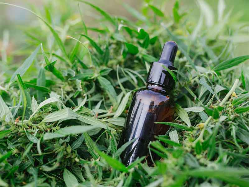 Cannabisoel | Edelhanf - Ihr Premium CBD Shop