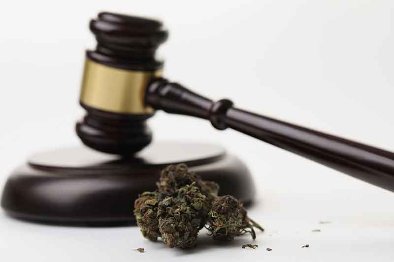 Was ist CBD? - cbd legal cbd legal - Edelhanf - Ihr Premium CBD Shop