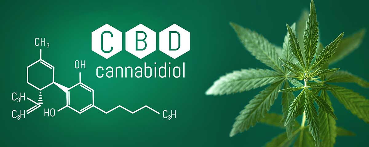 Endocannabinoid System - endocannabinoidsystem2 endocannabinoidsystem2 - Edelhanf - Ihr Premium CBD Shop