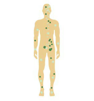 endocannabinoid | Edelhanf - Ihr Premium CBD Shop