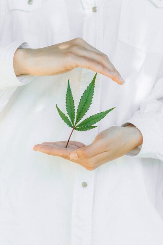 arzt mit hanf | Edelhanf - Ihr Premium CBD Shop