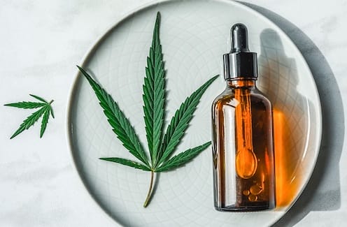 hanf teller | Edelhanf - Ihr Premium CBD Shop