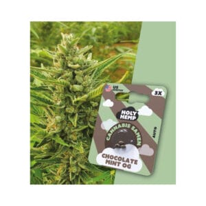 Holy Hemp Chocolate Mint OG Cannabis Samen