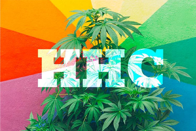 Was ist Hexahydrocannabinol und wie wirkt es? | HHC Wirkung HHC Wirkung | Edelhanf - Ihr Premium CBD Shop