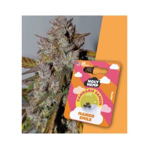 Holy Hemp Mango Smile Cannabis Samen