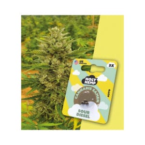 Holy Hemp Sour Diesel Cannabis Samen