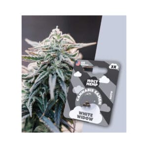 Holy Hemp White Widow Cannabis Samen