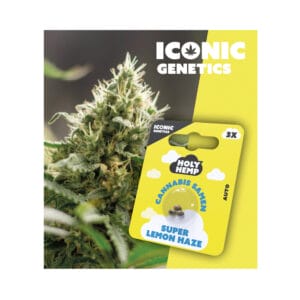 Holy Hemp Super Lemon Haze Cannabis Samen
