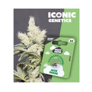Holy Hemp Jack Herer Cannabis Samen