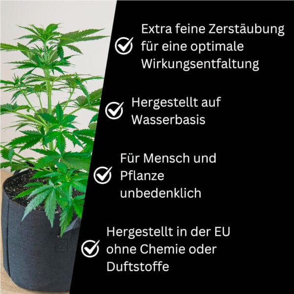 NoOder Cannasafe Highlights - Edelhanf - Ihr Premium CBD Shop