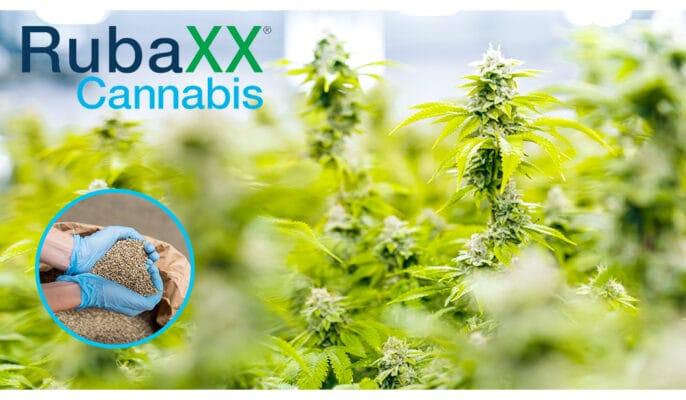 Rubaxx | Edelhanf - Ihr Premium CBD Shop
