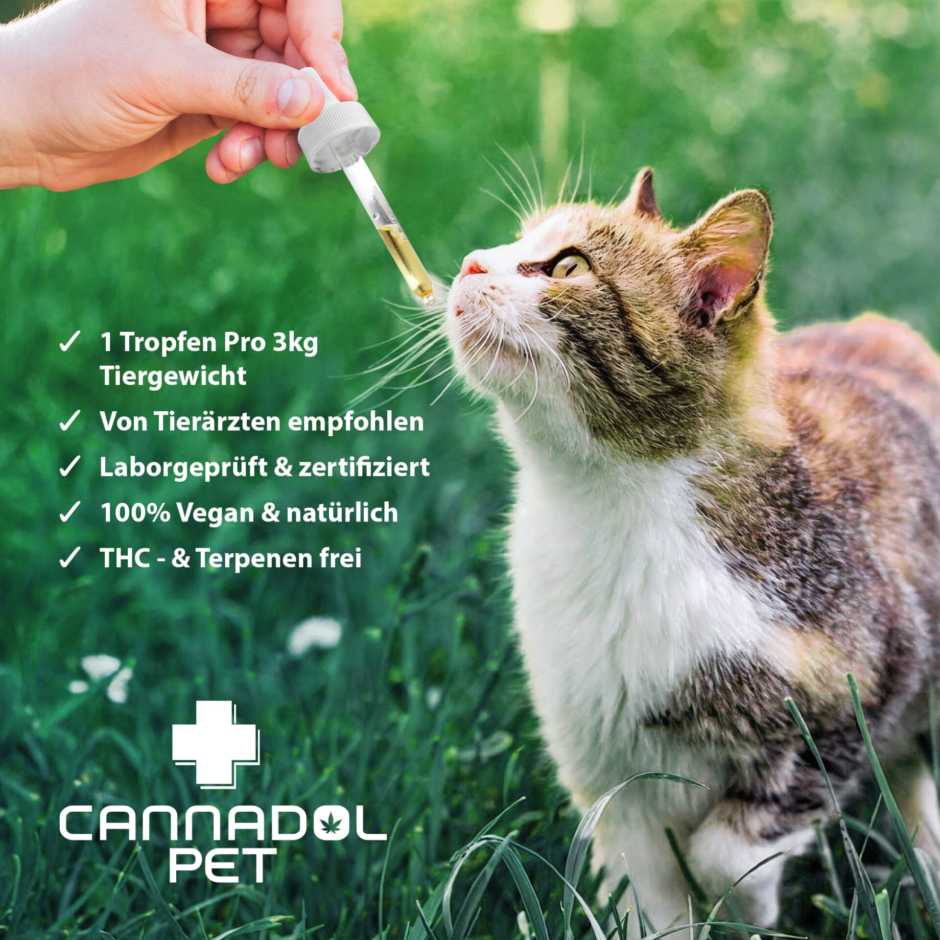 Cannadol Pet 3% Premium CBD Öl für Katzen | Cannadol Cat Mood 1 Cannadol Pet 3% Premium CBD Öl für Katzen – Bild 4