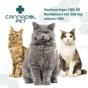 Cannadol Pet 3% Premium CBD Öl für Katzen | Cannadol Cat Mood 2 Cannadol Pet 3% Premium CBD Öl für Katzen – Bild 5