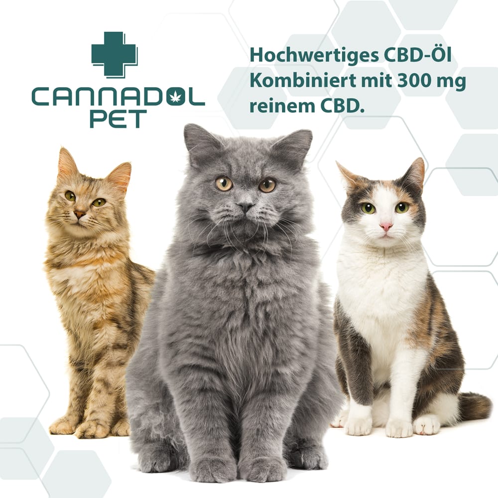 Cannadol Pet 3% Premium CBD Öl für Katzen | Cannadol Cat Mood 2 Cannadol Pet 3% Premium CBD Öl für Katzen – Bild 5