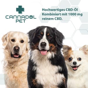 Cannadol Pet 10% Premium CBD Öl für Hunde – Bild 5