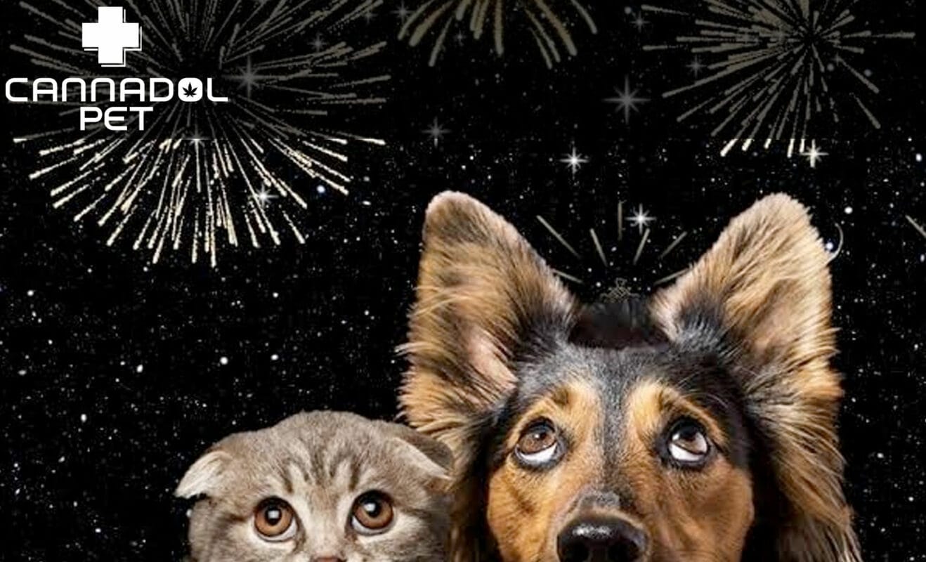 silvester tiere | Edelhanf - Ihr Premium CBD Shop