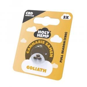 Alternative view of Holy Hemp Goliath CBD Samen ohne THC Full Season