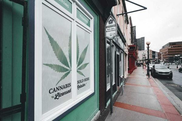 Wo kann man Gras kaufen | Edelhanf - Ihr Premium CBD Shop