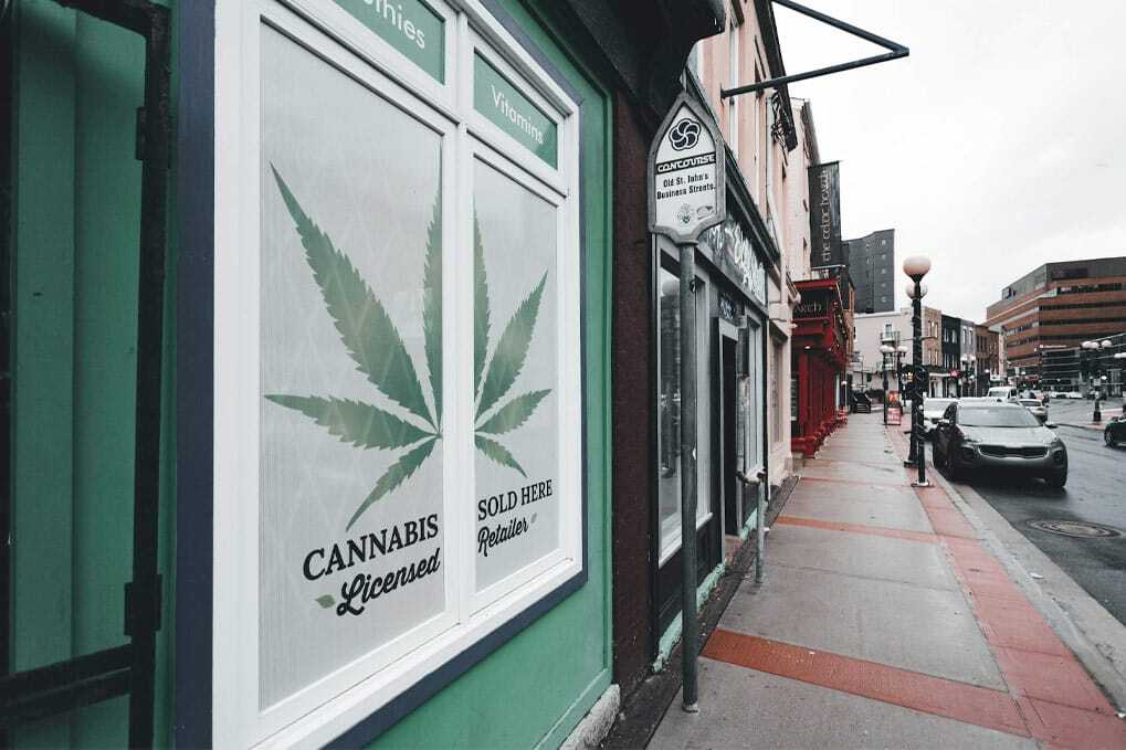 Wo kann man Gras kaufen | Edelhanf - Ihr Premium CBD Shop
