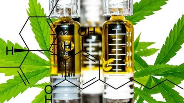 CBD Liquid Inhaltstoffe | Edelhanf - Ihr Premium CBD Shop
