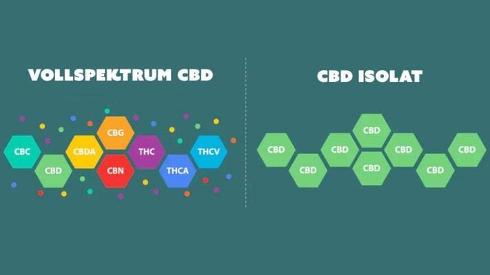 CBD Vollspektrum vs Isolat | Edelhanf - Ihr Premium CBD Shop