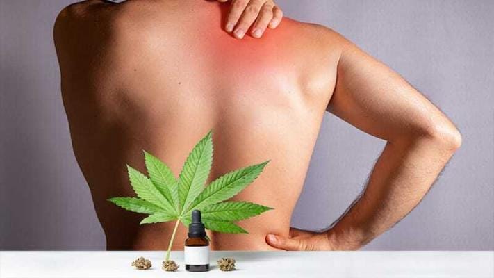 CBD Wirkung Nervensystem | Edelhanf - Ihr Premium CBD Shop