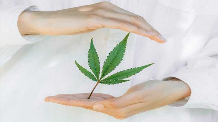 CBD bei Migraene | Edelhanf - Ihr Premium CBD Shop