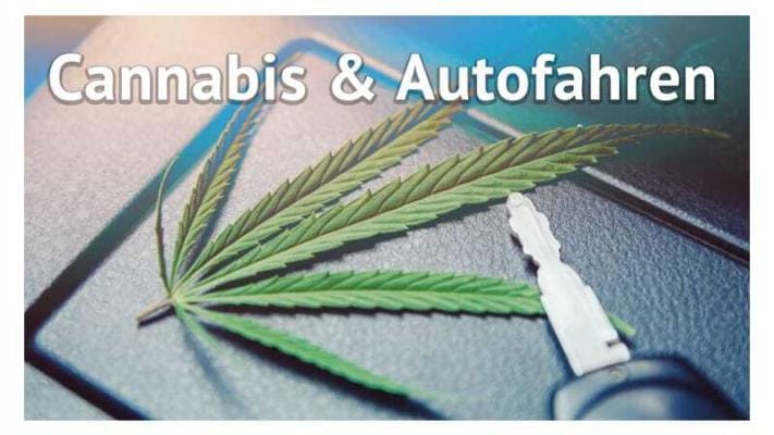 Cannabis und autofahren | Edelhanf - Ihr Premium CBD Shop