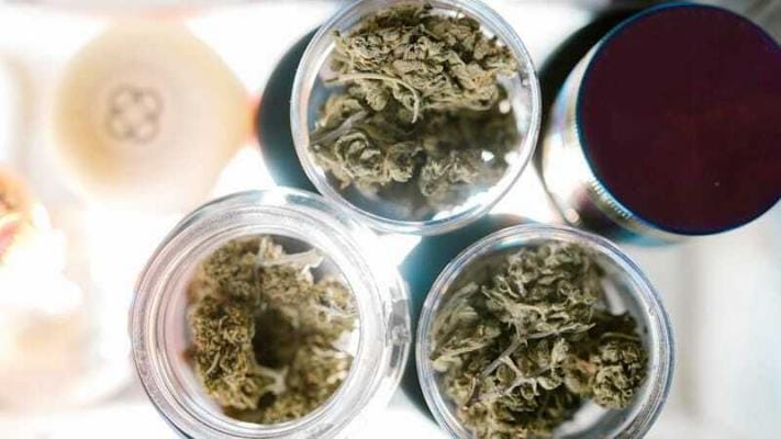CBD Blueten Wirkung Erfahrungen | Edelhanf - Ihr Premium CBD Shop