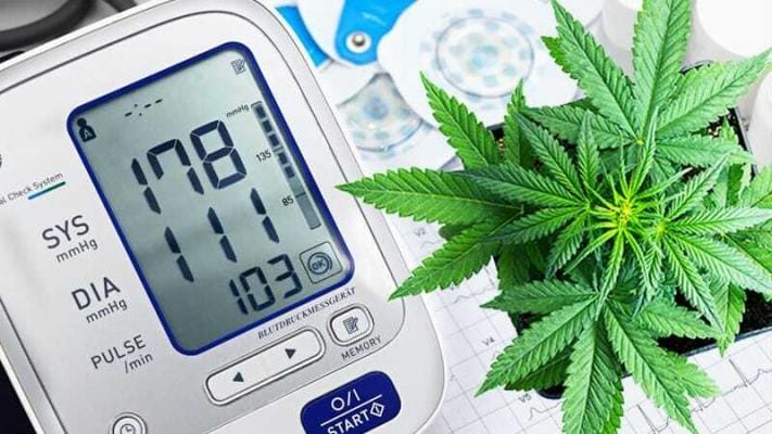 CBD Blutdruck | Edelhanf - Ihr Premium CBD Shop