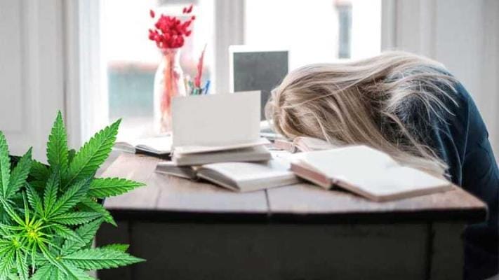 cbd muede | Edelhanf - Ihr Premium CBD Shop