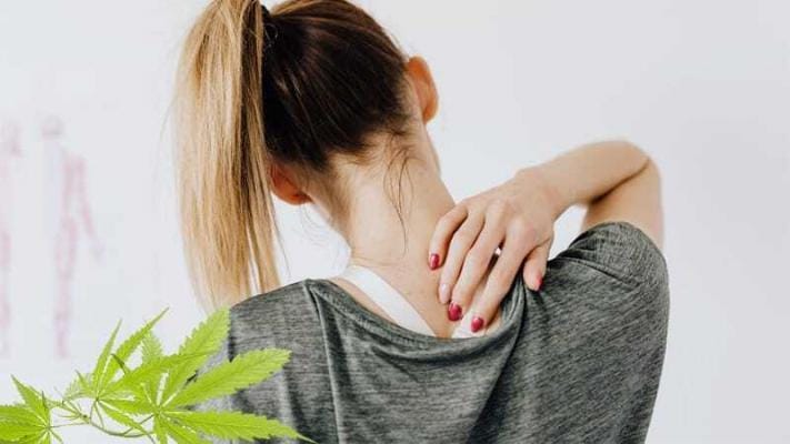 cbd rueckenschmerzen | Edelhanf - Ihr Premium CBD Shop