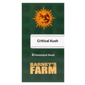 Alternative view of Barneys Farm Critical Kush Cannabis Samen Full Season