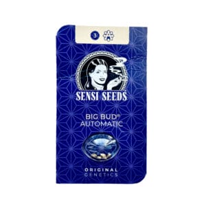 Alternative view of Sensi Seeds Big Bud Cannabis Samen Auto Flowering